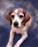 by susan  kinney