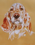 by Mark Lord