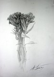 by Andrei Sorokin