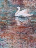 by Robyn Ryan