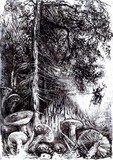 by Andrzej Masianis