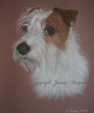 by Joanne Simpson-Connor