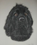 by Joanne Simpson-Connor