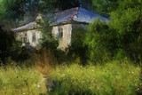 by Nikolay Semyonov