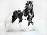 by Angie Bridges