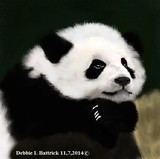 by Debbie Battrick