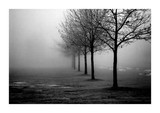 by joost 