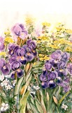 by Ingrid Dohm