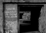 by Michele Donahue