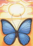 by Amy Turner