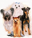 by Barbara Keith