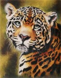 by Barbara Keith