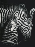 by Barbara Keith