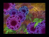 by Minnie Shuler