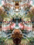 by TOMMY  BEAVER