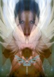 by TOMMY  BEAVER