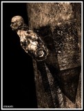 by Jose Alves