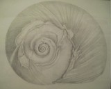 by Kathryn Huhn
