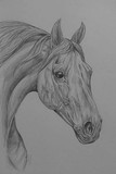 by paula dudzik