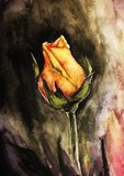 by Natalja Picugina