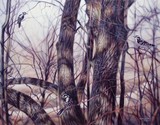 by Judy Cooper