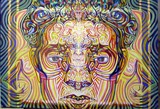 by alvaro garcia