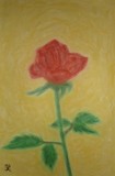 by Hiromi Green