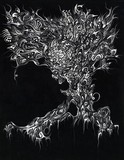by Cinzia Bacilieri