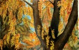 by Sharon Lazarowicz