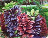 by usha shantharam