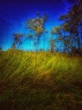 by Ropati Leaso-Cobb