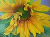 by Cindy Sugg