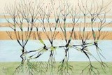 by Federico Cortese