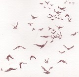 by Donncadh O'Callaghan