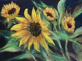 by Joan  Wulff