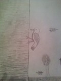 by Makayla Huskey