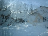 by Hallz Carz