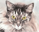 by Drusilla Kehl