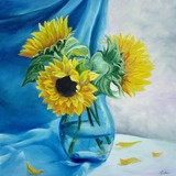 by Sorin Apostolescu