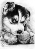 by Arnela Sabanovic