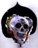 by Mark Kokopelli Watkins, Artist