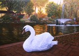 by Linda Mowat