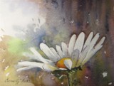 by nenad corelj