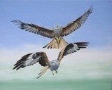 by Alan Pickersgill