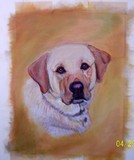 by Sharon Coyle