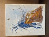 by kym solitaire