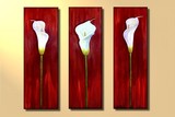 by Peggy Garr