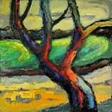 by Gerard Velthuis