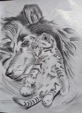 by Vivian Feltz