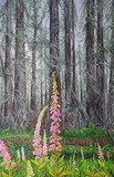 by Kim Reid
